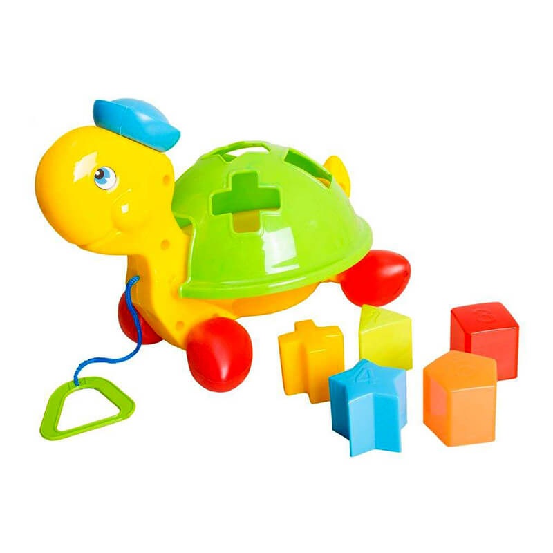 لاک پشت فکری اشکال جعبه لاک پشت فکری اشکال جعبه